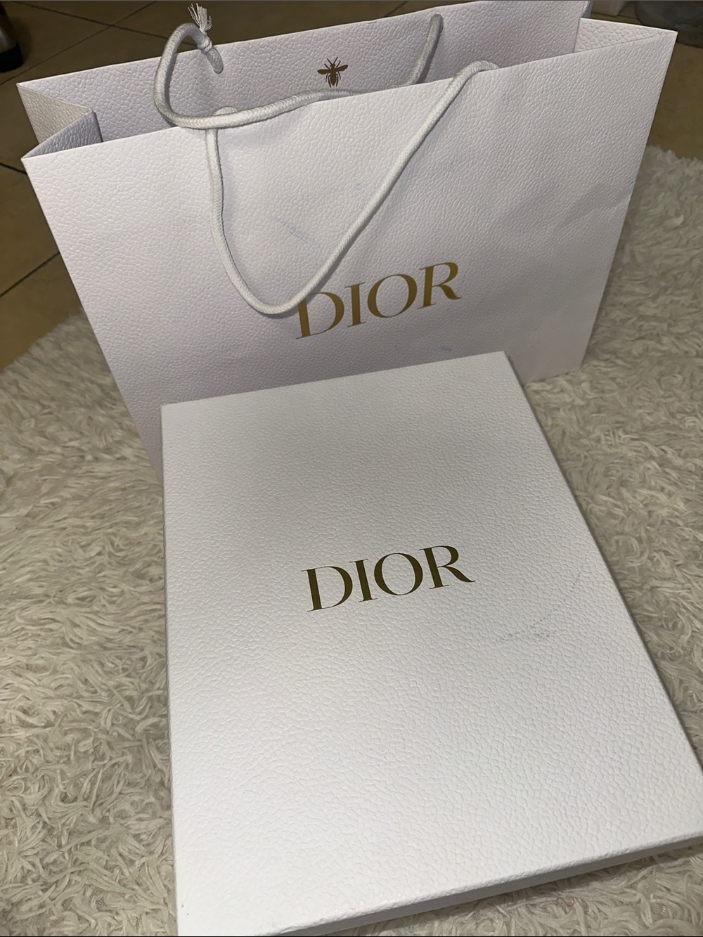 DIOR shoes box with a power bag